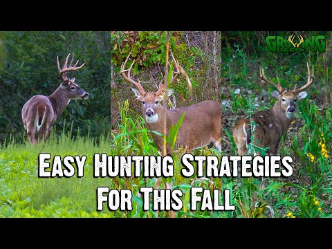 Dr. Grant Woods’ Easy Strategies for This Fall | Seminar