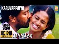 Karuvappaiya - 4K Video Song | கருவாப்பையா  | Thoothukudi | Harikumar | Karthika | Pravin Mani