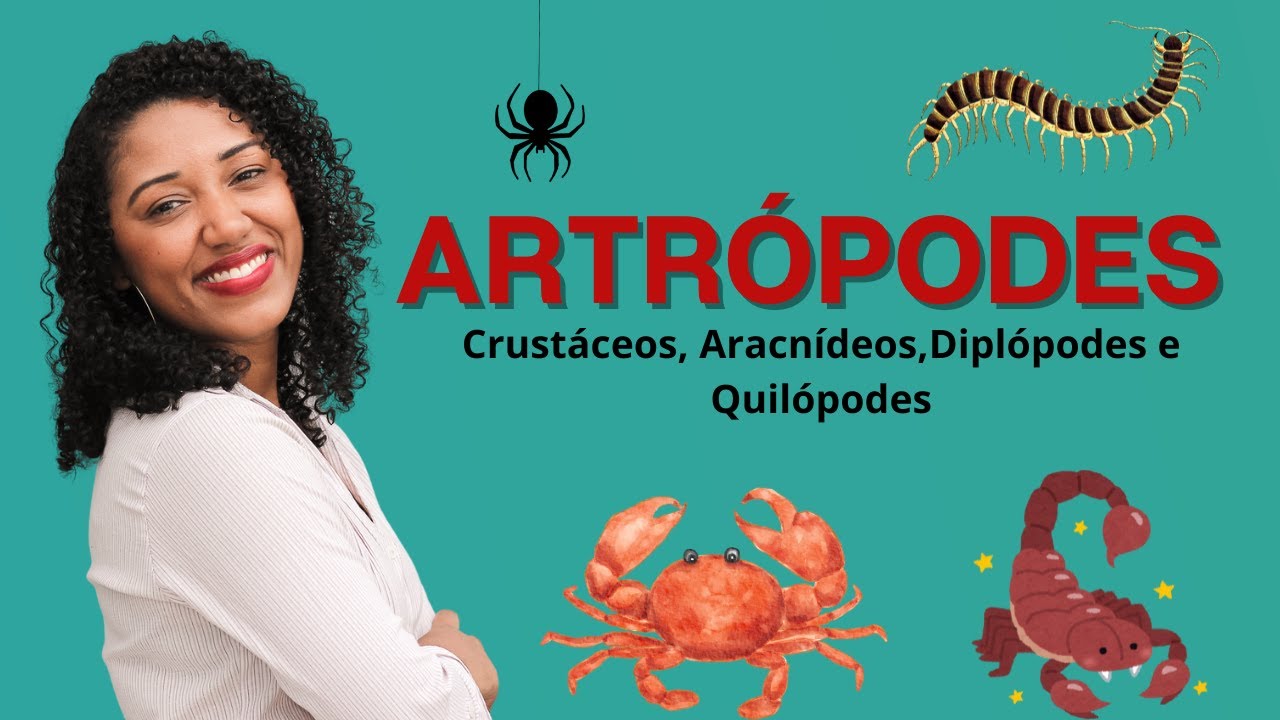 Aula Artrópodes:crustáceos,aracnídeos,diplópodes e quilópodes