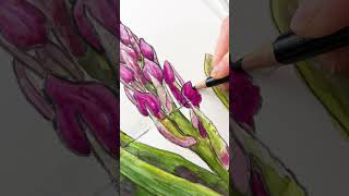 Wild orchid in Line and Wash