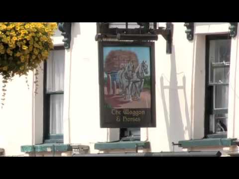 HORSETOWN: INSIDE NEWMARKET