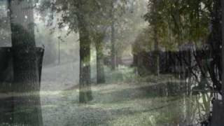 Joan Manuel Serrat - Elegía