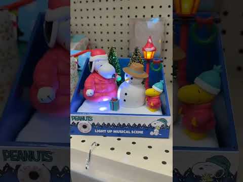Cvs Snoopy Puffer Jacket