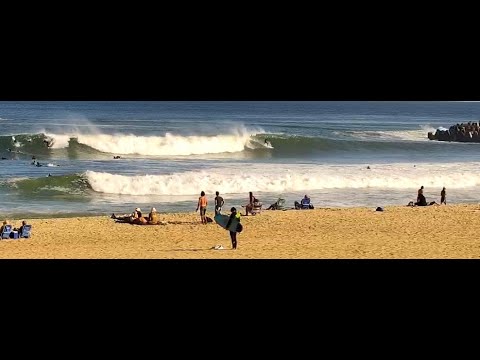 Surfchex Manasquan