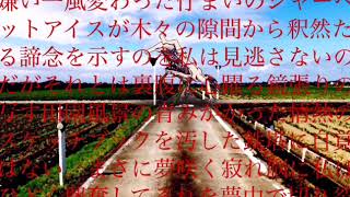 - 【結月ゆかり】夏路地にいる【オリジナル】