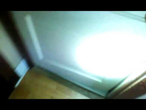 Real chupacabra caught on tape inside of house