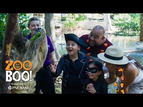 San Antonio Zoo Boo!