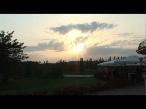 Arabian Horses , BREEDER`S Championship 2012 BERLIN