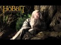 Over The Misty Mountains Cold Lyrics: The Hobbit ...