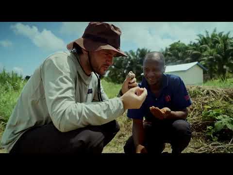 Diamond Minning in Sierra Leone, Koidu