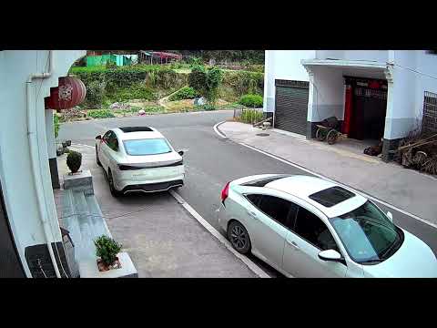 BYD Seal 06 vs Honda Civic