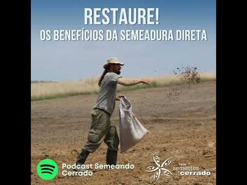 Restaure – entenda os benefícios da semeadura direta no Cerrado