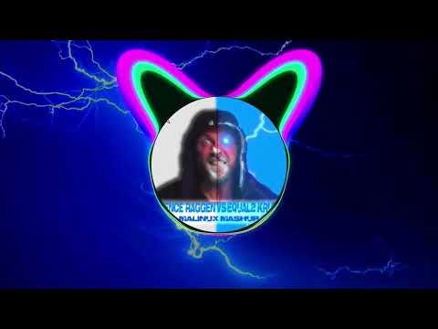 Malinux - Mashup 1.0 (D-Fence vs. Equal2 - Krunker Raggen)