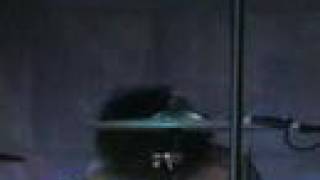 Days Away - Keep Your Voices Down [live]