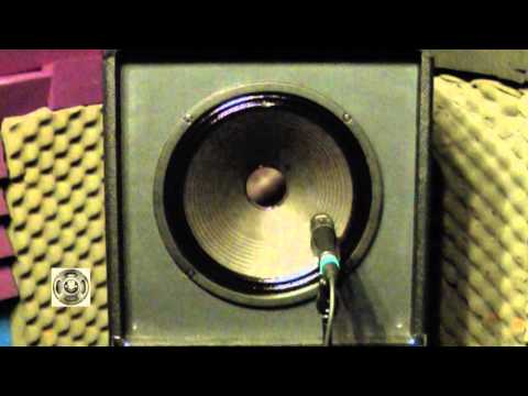 celestion lynchback for sale