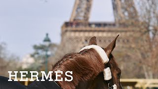 Hermès Saut Hermès 2024 l That's a wrap!