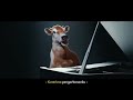 2 MENIT IKLAN SASA SANTAN X SAPI