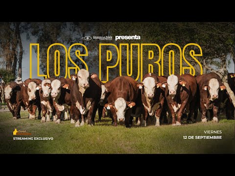 EXCEPCIONAL REMATE LA PELADA 2025 - LOS PUROS