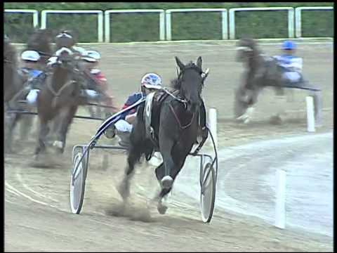 Trotto 09/09/2014 - 6° corsa