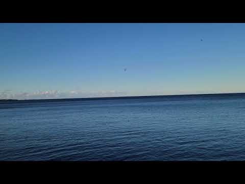 Bluffer's Park & Beach, Scarborough-1