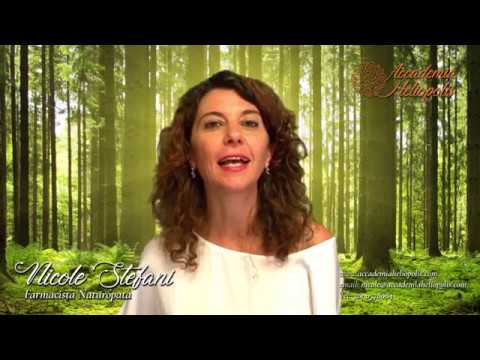 Olisticmap - Presentazione accademia