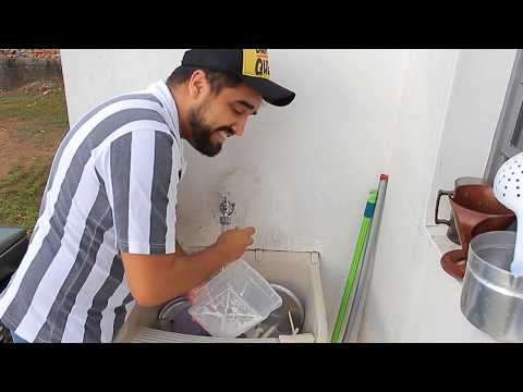 CARMO | POBRE LAVANDO a LOUÇA no TANQUE | Por Alorino