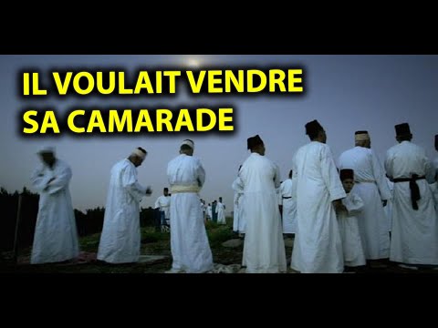 IL VOULAIT VENDRE SA CAMARADE ... HISTOIRE MYSTIQUE - DMG TV
