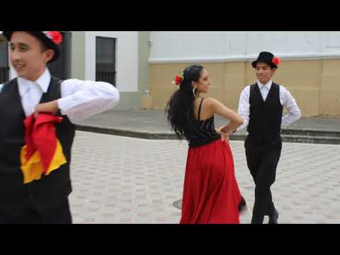 🕊Palomita Errante- Pasacalle - Cuenca- Ecuador - 2021