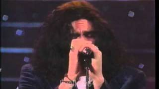 Caifanes - De noche todos los gatos son pardos (En vivo) - La movida