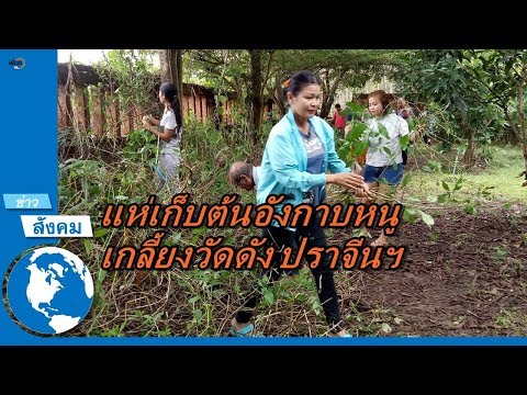 ยาแรงในผู้หญิง การเยียวยาชาวบ้านเพื่อเพิ่มความแข็งแรง