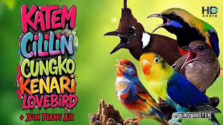 Download lagu MASTERAN SATU JALUR JEDA TERAPI AIR GARANSI CEPAT MASUK! mp3 Download lagu MASTERAN SATU JALUR JEDA TERAPI AIR GARANSI CEPAT MASUK! mp3