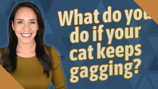 What do you do if your cat keeps gagging?