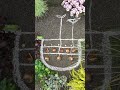 Blumenzwiebeln mit der Lasagne-Methode pflanzen 🌷🌱