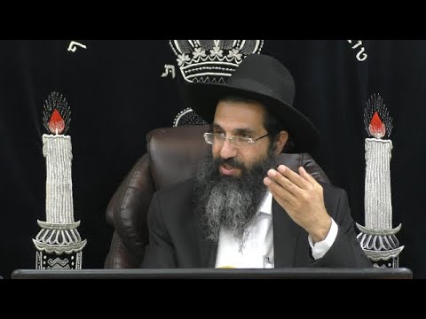 הלכות שבת - קלה' - צידה האסורה והמותרת 🕯 משנה ברורה סימן שטז | חלק 549 | הרב שי עובד