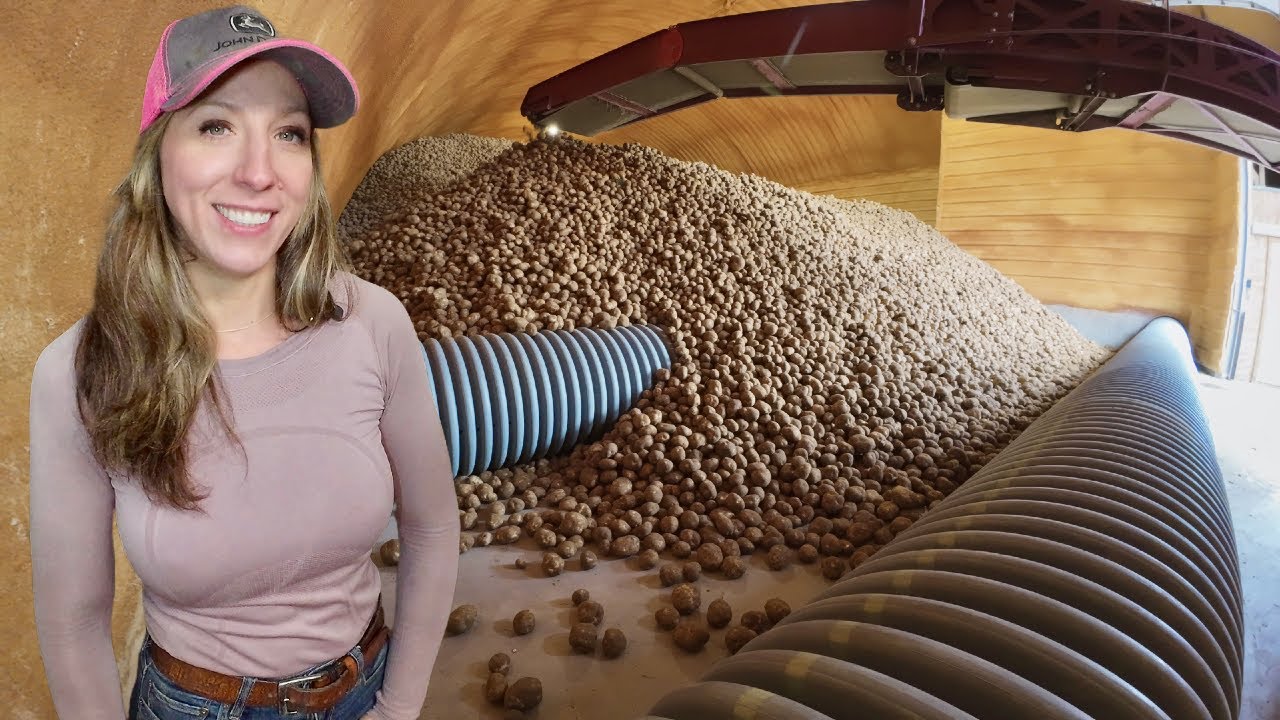 Last Day Of Potato Harvest 2024