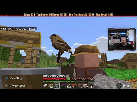 Minecraft "Chill Stream" Dec. 31, 2019 pt3 - COMPLETION! Then, It's BEE TIME!