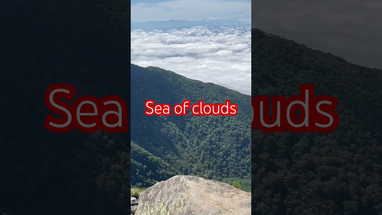 YouTube Short thumbnail