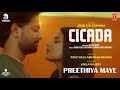 Preethiya Maye Video Song CICADA Movie Anila Rajeev Sreejith Edavana Ravitheja Amaranarayana