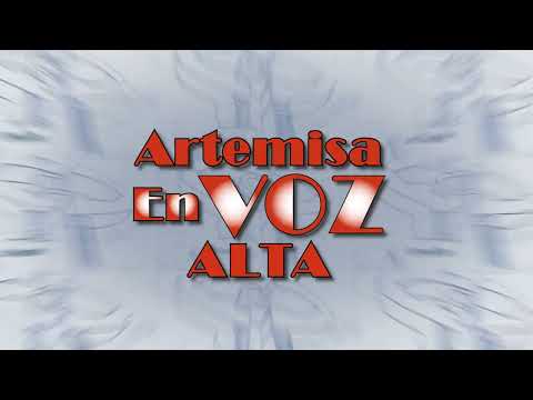 Artemisa en VOZ Alta, desde el Hotel Las Yagrumas, dedicado al 54 aniversario de Radio Ariguanabo 