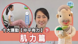 伸平有力｜之肌力篇(下)