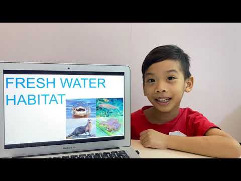 [Science] Unit 1: Habitats | Oct 9th 2021