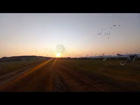 Domažlice start 18.6.2023 v 5.30 h