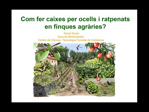 ITINECO Com fer caixes niu per ocells i ratpenats