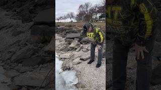 🦆Coot found a possum playing dead 😵 #possum #waitforit #cootslures #oshkosh #wisconsin #lake