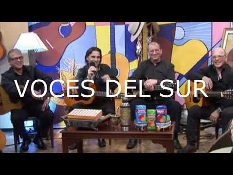 VOCES DEL SUR - FOLKLORE ROMÁNTICO - ENGANCHADOS