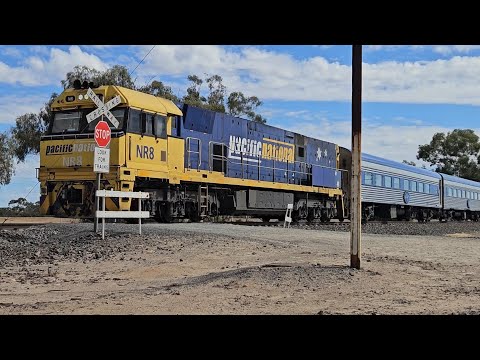 5AM8 JBRE The Overland (NR8), Adelaide to Melbourne, 1305, 10/4/25, Dimboola West VIC