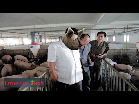 Glorious Leader Kim Jong-Un Visits Pig Farm to Show Solidarity with Workers and the Suppressed