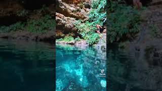 Download lagu Welcome to my Paradise - Steven & Coconuttreez mp3