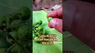 Download lagu #jangan sembarang di gunakan!!! #VILTER LEUNCA? mp3