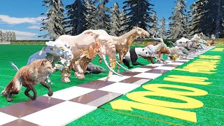 45 Wild Animals Roaring Race and Clash in an Epic Battle for Racing!